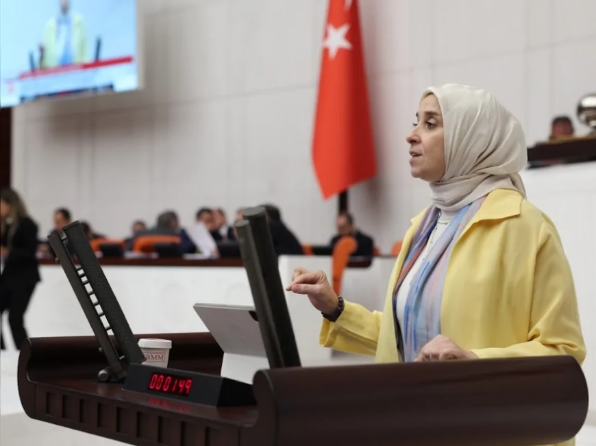 DEVA Partisi Genel Başkan Yardımcısı Elif Esen: “Fahiş aidat düzenlemesi vatandaşa gerçek güvence sunmuyor”