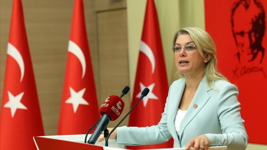 CHP Kadın Kolları Genel Başkanı Asu Kaya: “Esma Kılıçarslan dosyasındaki ihmal iddiaları açıklansın”