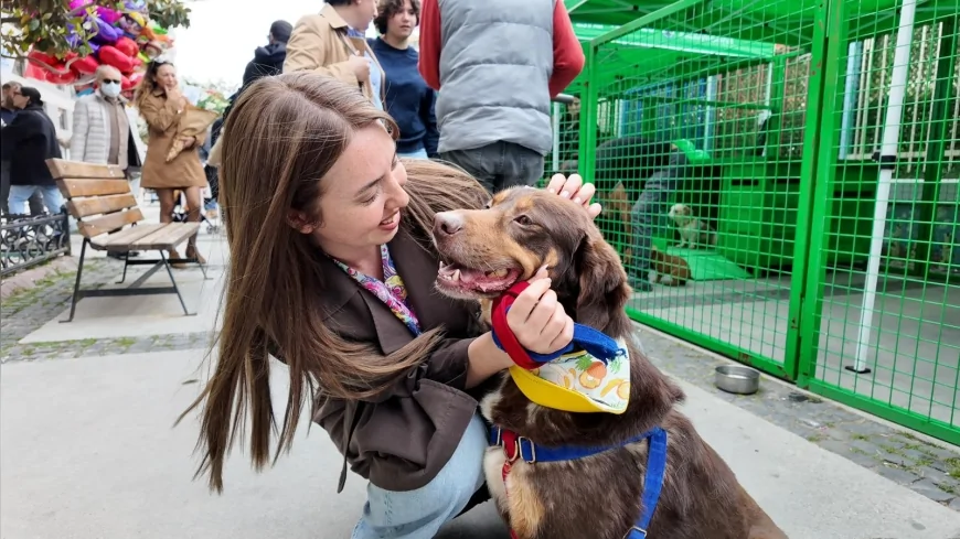 KONAK BELEDİYESİ SAHİPLENDİRME ETKİNLİĞİNDE 11 KEDİ VE KÖPEK YENİ YUVALARINA KAVUŞTU