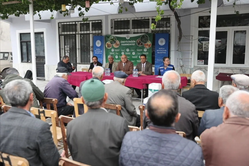 Muğla Büyükşehir Belediyesi çam fıstığında verim kaybına karşı doğal yöntemlerle sahada mücadele başlattı!