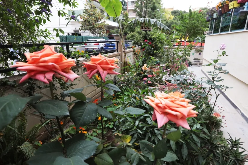 Karşıyaka Belediyesi 23’üncü En Güzel Balkon Bahçe Yarışması için başvuruları almaya başladı