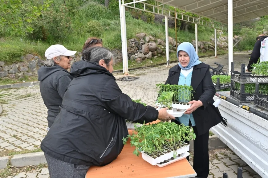 Bornova Belediyesi kırsal mahallelerde üreticilere 150 bin yazlık sebze fidesi dağıttı