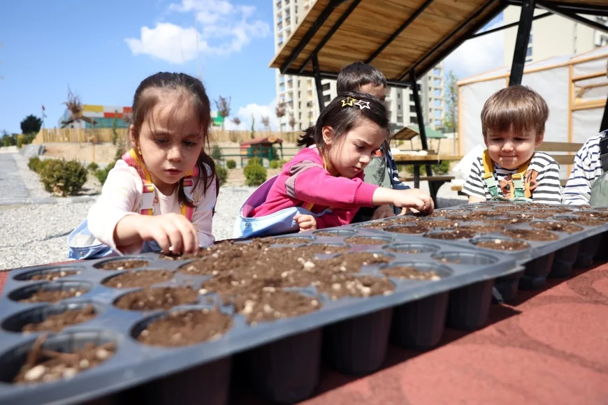 Çankaya Belediyesi’nin Minik Bahçıvanları Mısır ve Ayçiçeği Tohumlarını Toprakla Buluşturdu