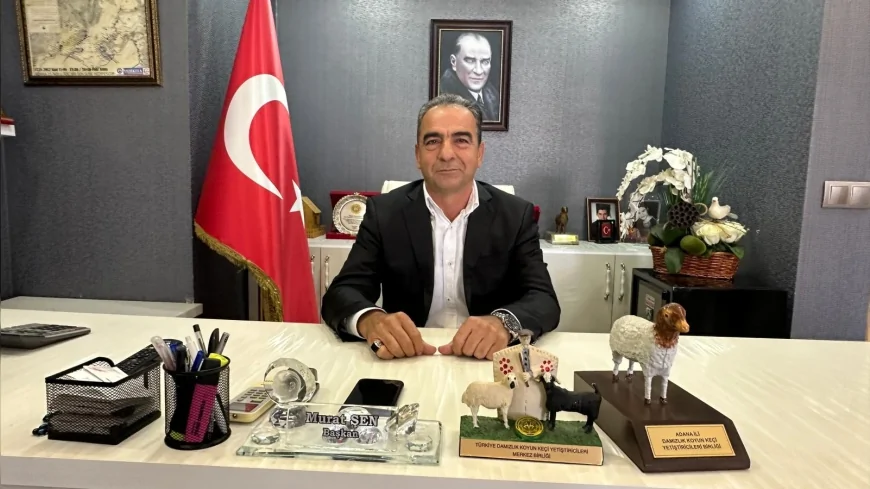 Türkiye Damızlık Koyun Keçi Yetiştiricileri Birliği Başkan Yardımcısı Murat Şen: “Kurbanlıkta sağlıklı ve kayıtlı hayvan tercih edilmeli”