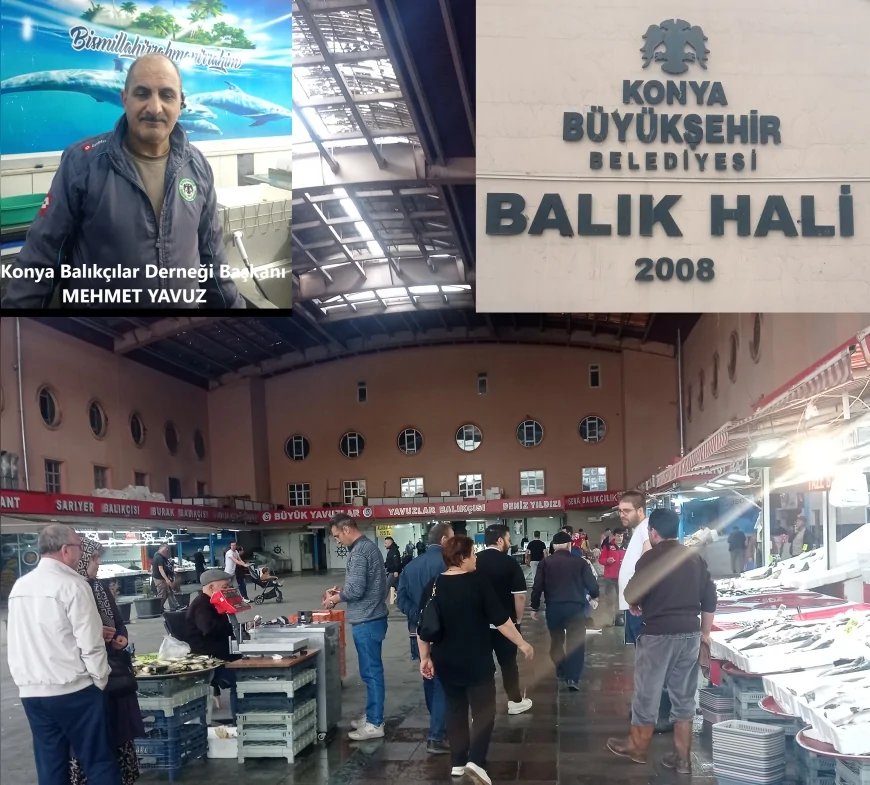 Konya Balık Hali Esnafı: “Teknolojinin Gelişmesiyle Balığa Olan İlgi Belirgin Şekilde Arttı”