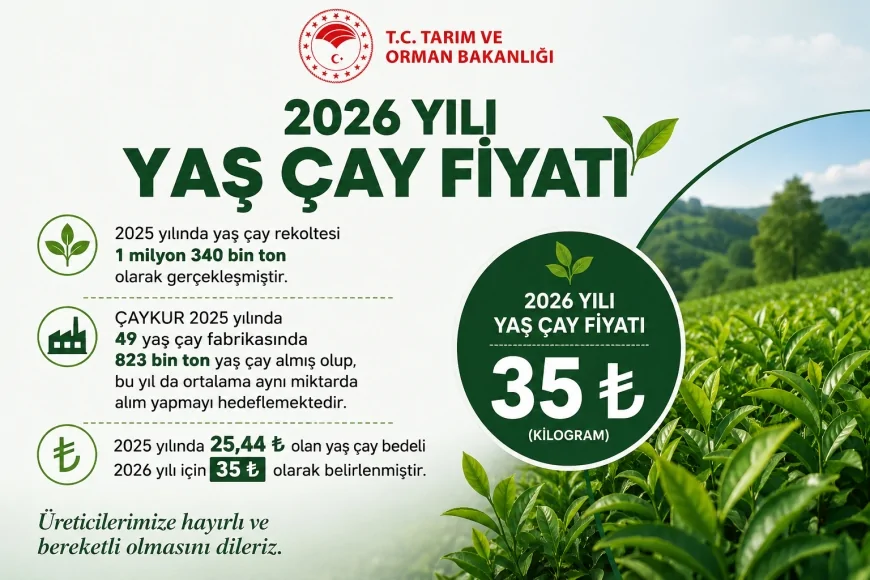 Tarım ve Orman Bakanlığı 2026 yılı yaş çay alım fiyatının 35 lira olarak belirlendiğini açıkladı