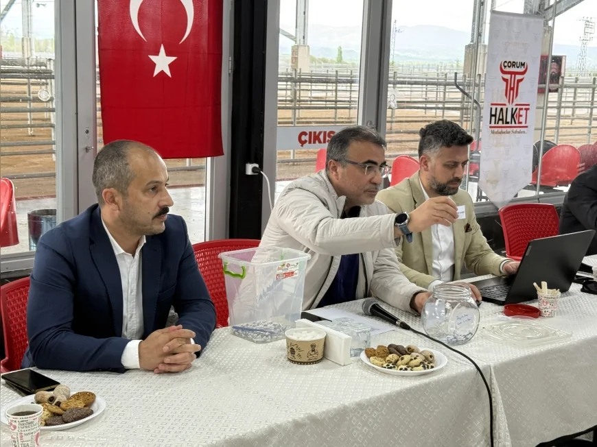 Çorum Belediyesi Hayvan Pazarında Kurbanlık Satış Yerleri Kura ile Belirlendi