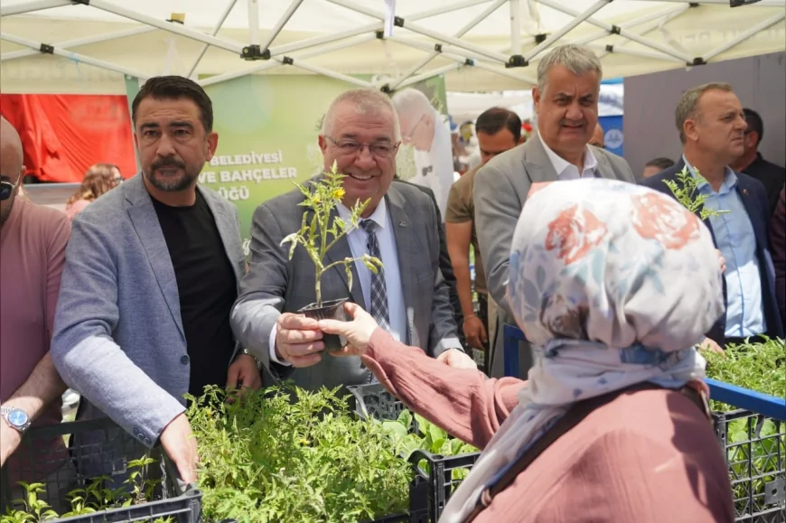 Edremit Belediyesi 2 Bin Ata Tohumu Fidesini Vatandaşlara Ücretsiz Dağıttı