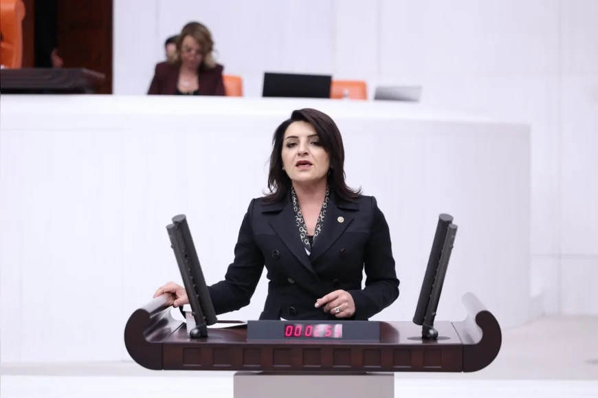 Gülcan Kış: “Varlık Barışı Kalıcı Ekonomik Çaresizliğin Göstergesi”
