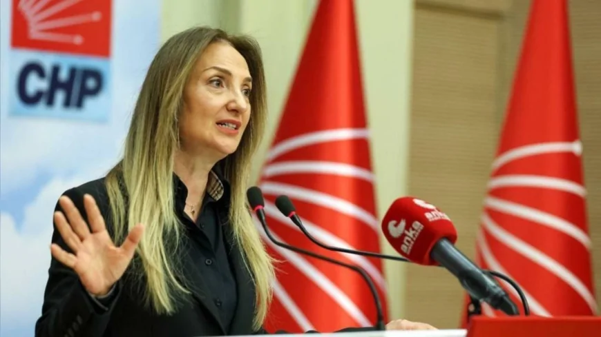 CHP Aile ve Sosyal Hizmetler Politika Kurulu Başkanı Aylin Nazlıaka: “Çocuk Evi Sitesi mi, Yoksa İşkence Merkezi mi”