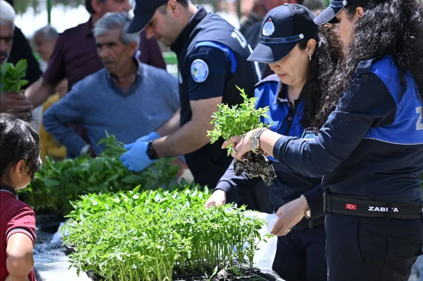 Manisa Büyükşehir Belediyesi Salihli’de Üreticilere 34 Bin Sebze Fidesi Dağıttı