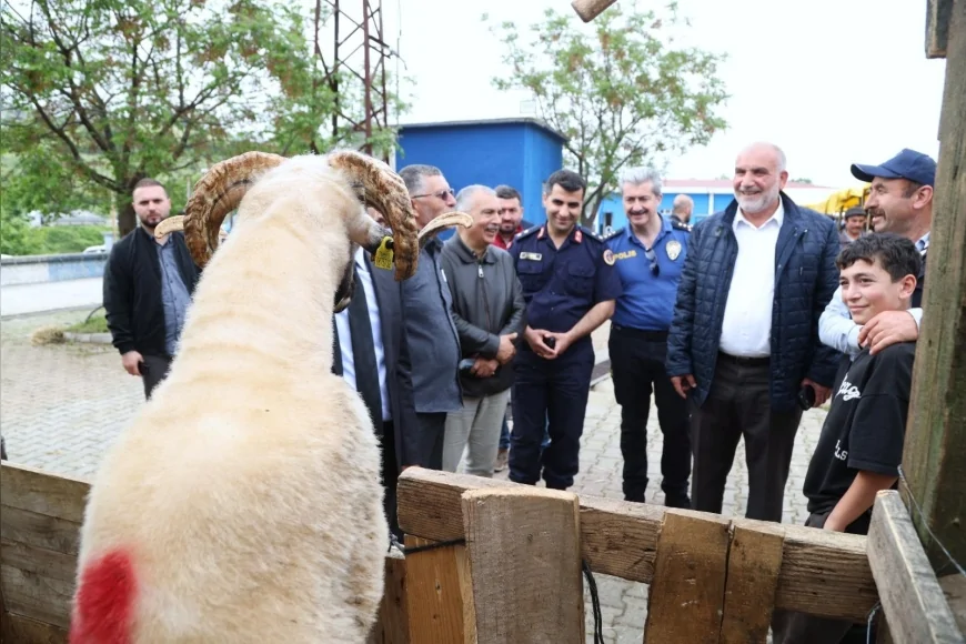 Canik Belediyesi Kurban Pazarı yoğun ilgi görüyor, veteriner denetimiyle güvenli satış öne çıkıyor