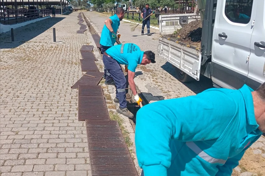 Efeler Belediyesi Çeştepe Hayvan Pazarı’nda Kurban Bayramı Öncesi Çalışmalarını Yoğunlaştırdı