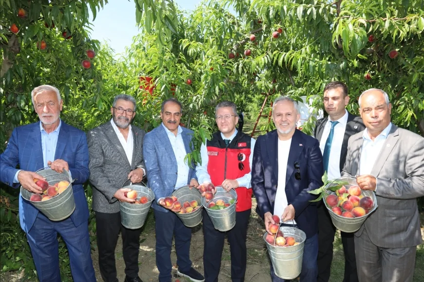 Ege Yaş Meyve Sebze İhracatçıları Birliği Başkanı Cengiz Balık: “Şeftali ve nektarin ihracatında 250 milyon dolar hedefliyoruz”