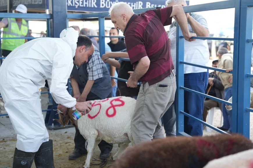 Eskişehir Büyükşehir Belediyesi Kurban Bayramı için hijyenik kesim alanı hazırlıklarını tamamladı