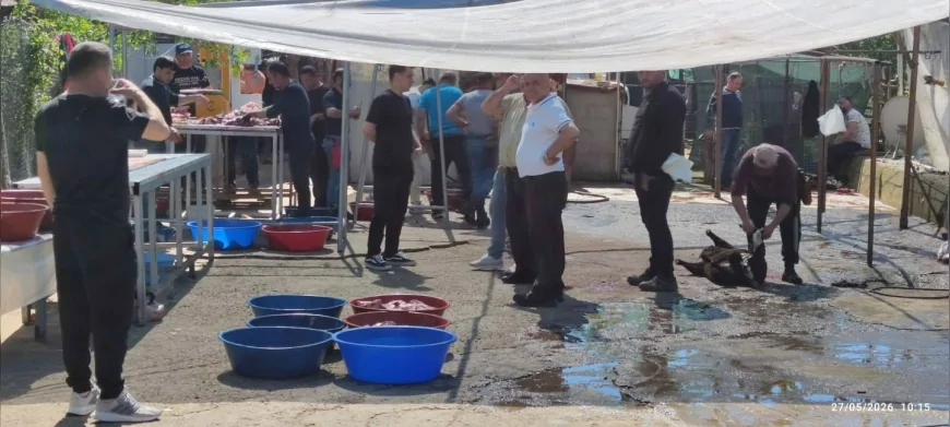 Maltepe Belediyesi Kurban Bayramı’nda kaçak kesimlere karşı denetimlerini artırdı