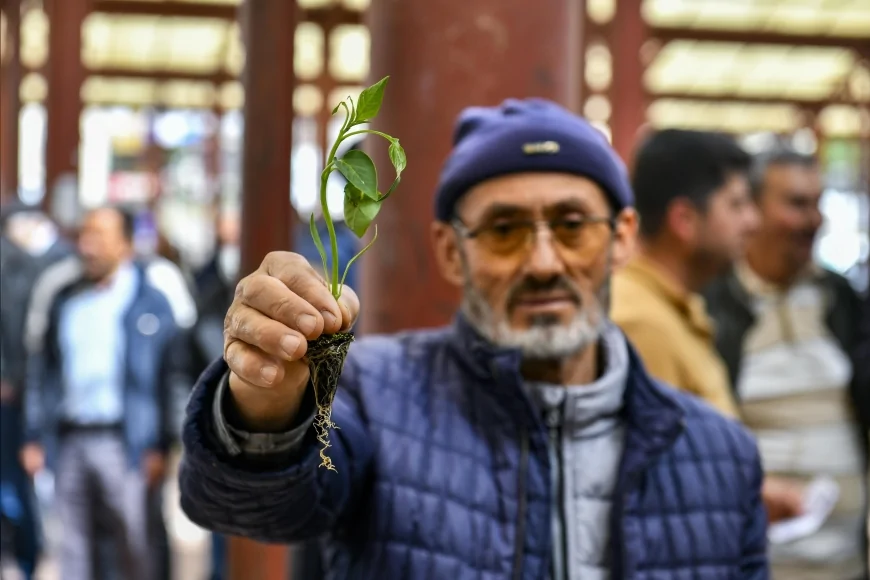 Ankara Büyükşehir Belediyesi 25 İlçede 8 Milyon Sebze Fidesi Dağıttı Üreticilere Yüzde 50 Hibe Desteği Sağlandı