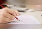 Millî Eğitim Bakanlığı LGS Merkezî Sınav Giriş Bilgilerini Erişime Açtı