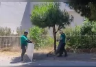 EFELER’İN PARK VE YEŞİL ALANLARINDA HEM ESTETİK HEM GÜVENLİK ARTIYOR
