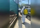 MALTEPE BELEDİYESİ KURBAN SATIŞ VE KESİM ALANLARINDA İLAÇLAMA ÇALIŞMALARINI ARALIKSIZ SÜRDÜRÜYOR VE BULAŞICI HASTALIK RİSKLERİNE KARŞI ÖNLEM ALIYOR