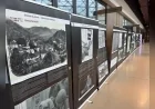 Zambak Boşnak Kadınlar Derneği Ankara’da Srebrenitsa Soykırımı’nın 31. Yılında Adalet Çağrısı Yaptı