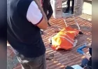 Çorum Sungurlu’da Çatıya Güneş Enerjisi Sistemini Tamir İçin Çıkan Kişi Hayatını Kaybetti