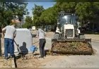 Bornova Belediye Başkanı Ömer Eşki: “Yeşili Korurken Yangın Risklerini De Azaltıyoruz”