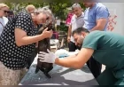 Maltepe Belediyesi Sokak Hayvanları İçin Yerinde Tedavi Hizmetini Mahallelere Taşıyor