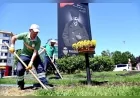 Yalova Belediyesi Yaz Dönemi Mevsimlik Çiçek Ekimleriyle Kenti Renkli Bir Görünüme Kavuşturuyor