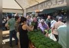 Efes Selçuk’ta Dünya Çevre Günü Geri Dönüşüm Etkinliği ve Ritim Konseriyle Kutlandı