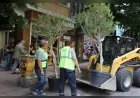 Eskişehir’de İsmet İnönü 1 Caddesi Yaz Sezonunda Zakkum Ağaçlarıyla Renklendi