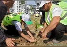 Bursa Büyükşehir Belediyesi Çevre Haftası Kapsamında 200 Fidanı Toprakla Buluşturdu