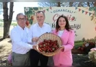 Yunusemre Belediyesi Osmancalı Çileği İlk Hasat Şenliği’nde Üreticileri ve Vatandaşları Buluşturdu