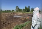 Çorum Belediyesi Vektörel Mücadele ve Konteyner Temizliğini İki Vardiya Halinde Sürdürüyor