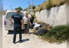 Marmaris’te Yol Kenarlarına Bahçe ve Çim Atığı Bırakanlara Cezai İşlem Uygulandı