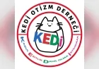 TÜRKİYE OTİZM MECLİSİ: “OTİZMLİ BİREYLER İÇİN ACİL MÜDAHALE SİSTEMLERİ GECİKMEDEN HAYATA GEÇİRİLMELİ”