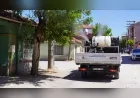Tepebaşı Belediyesi Veteriner İşleri Müdürlüğü: "Sivrisinek, karasinek ve diğer uçkun zararlılara karşı ilaçlama çalışmaları aralıksız şekilde sürdürülüyor"