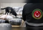 Ticaret Bakanlığı 3,5 Yılda 3 Bin 430 Operasyonda 108,7 Ton Uyuşturucu Ele Geçirildiğini Açıkladı
