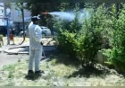 Mamak Belediyesi Yaz Döneminde Sinek ve Haşerelere Karşı İlçe Genelinde Kapsamlı İlaçlama Çalışmalarını Sürdürüyor