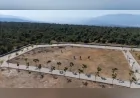 İzmir Büyükşehir Belediyesi Bornova Kayadibi’nde 25 Bin Defin Kapasiteli Kent Mezarlığını Hizmete Açtı