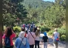 Bahçelievler Kadın Kültür Merkezi Kadınları Sıklık Tabiat Parkı'nda Doğa Yürüyüşü ve Egzersiz Etkinliğinde Buluşturdu