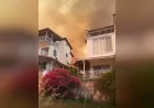 Dikili’de Otluk ve Zeytinlik Alanda Çıkan Yangına Havadan ve Karadan Yoğun Müdahale Sürüyor