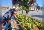 Giresun Belediyesi Kent Genelinde Yol, Altyapı ve Park Çalışmalarını Eş Zamanlı Sürdürüyor