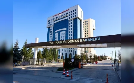 Tarım ve Orman Bakanlığı Toprak Mahsulleri Ofisi 2026 Yılı Hububat Alım ve Satış Fiyatlarını Açıkladı