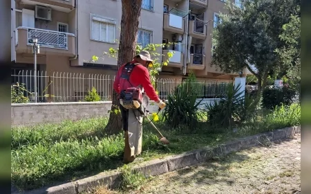 Efeler Belediyesi Yaz Öncesi Yeşil Alanlarda Yangın Riskine Karşı Kapsamlı Temizlik Başlattı