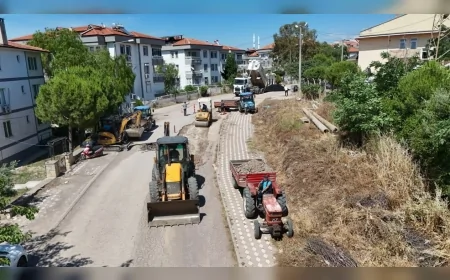 Ayvalık Belediye Başkanı Mesut Ergin: “Doğalgaz Nedeniyle Zarar Gören Yol ve Kaldırımlara En Kısa Sürede Müdahale Ediyoruz”