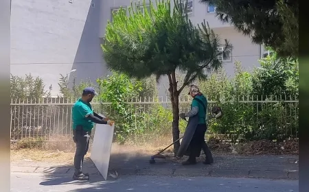 EFELER’İN PARK VE YEŞİL ALANLARINDA HEM ESTETİK HEM GÜVENLİK ARTIYOR