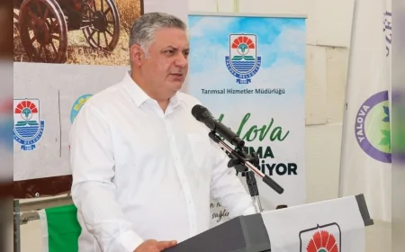 Yalova’da 1 Milyona Yakın Fide Üreticilere Dağıtıldı, Yerel Üretime Destek Güçlendirildi
