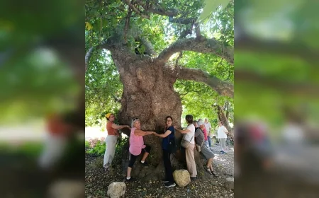 Seferihisar Belediye Başkanı İsmail Yetişkin: “Emeklilerimizin Hayatına Dokunmaya Devam Ediyoruz”