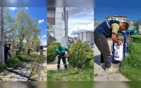 Kahramankazan Belediye Başkanı Selim Çırpanoğlu: “Bakım ve çevre düzenleme çalışmalarımız aralıksız sürüyor”